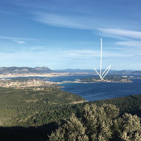 Bas De Villa Jardin Plein Sud Proche Mer Clim-Wifi サン・マンドリエ・シュル・メール エクステリア 写真
