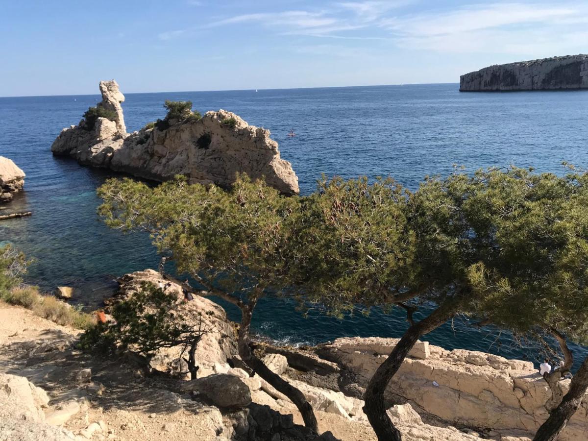 Bas De Villa Jardin Plein Sud Proche Mer Clim-Wifi サン・マンドリエ・シュル・メール エクステリア 写真
