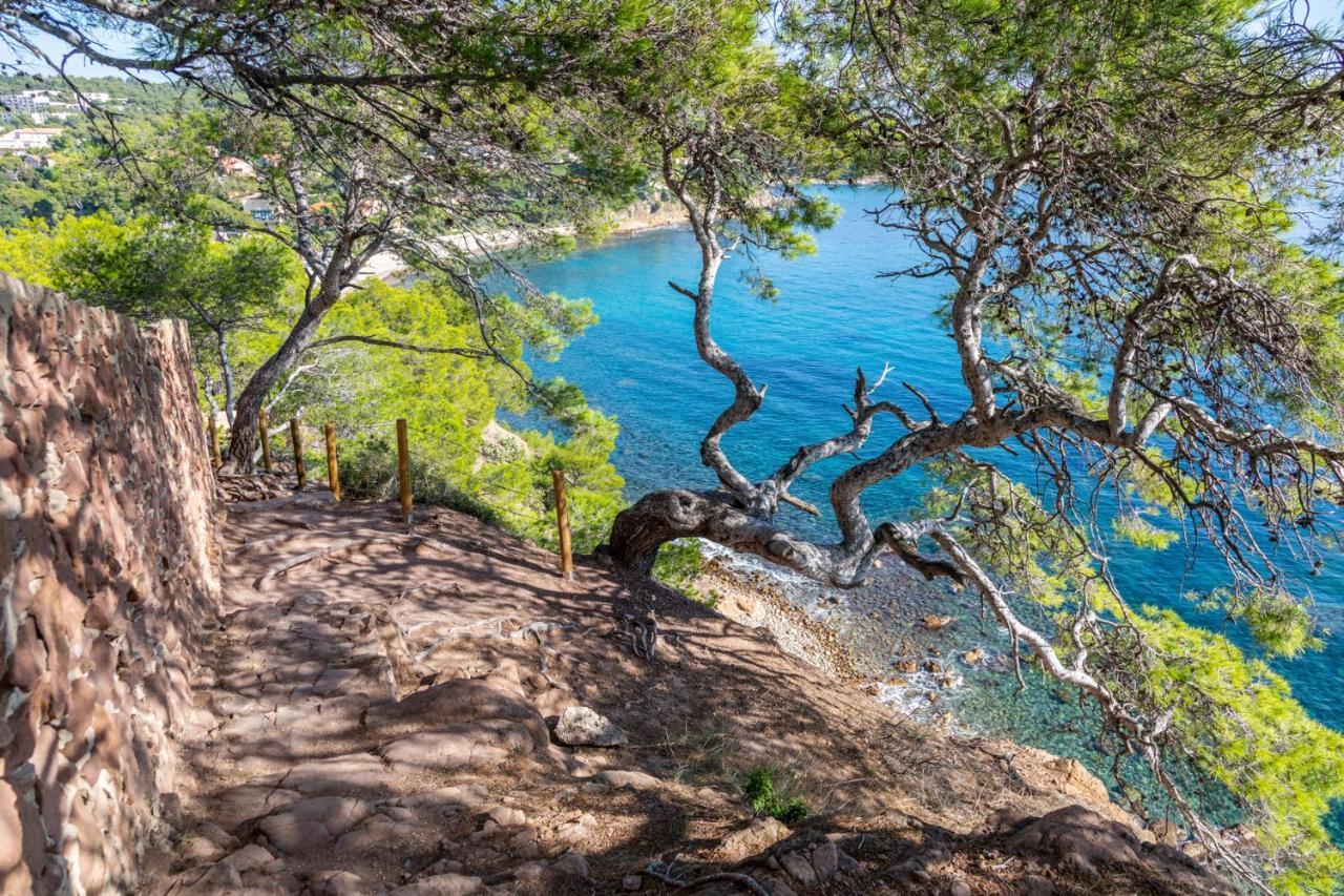 Bas De Villa Jardin Plein Sud Proche Mer Clim-Wifi サン・マンドリエ・シュル・メール エクステリア 写真